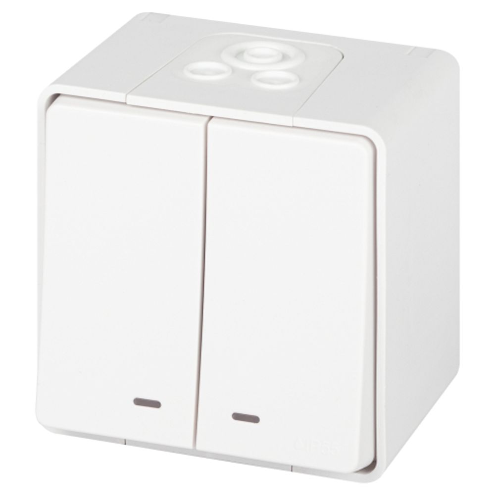 Выключатель ЭРА Эксперт 11-1505-01 двойной с подсветкой IP55 10АХ-250В ОУ белый | Эра Эксперт