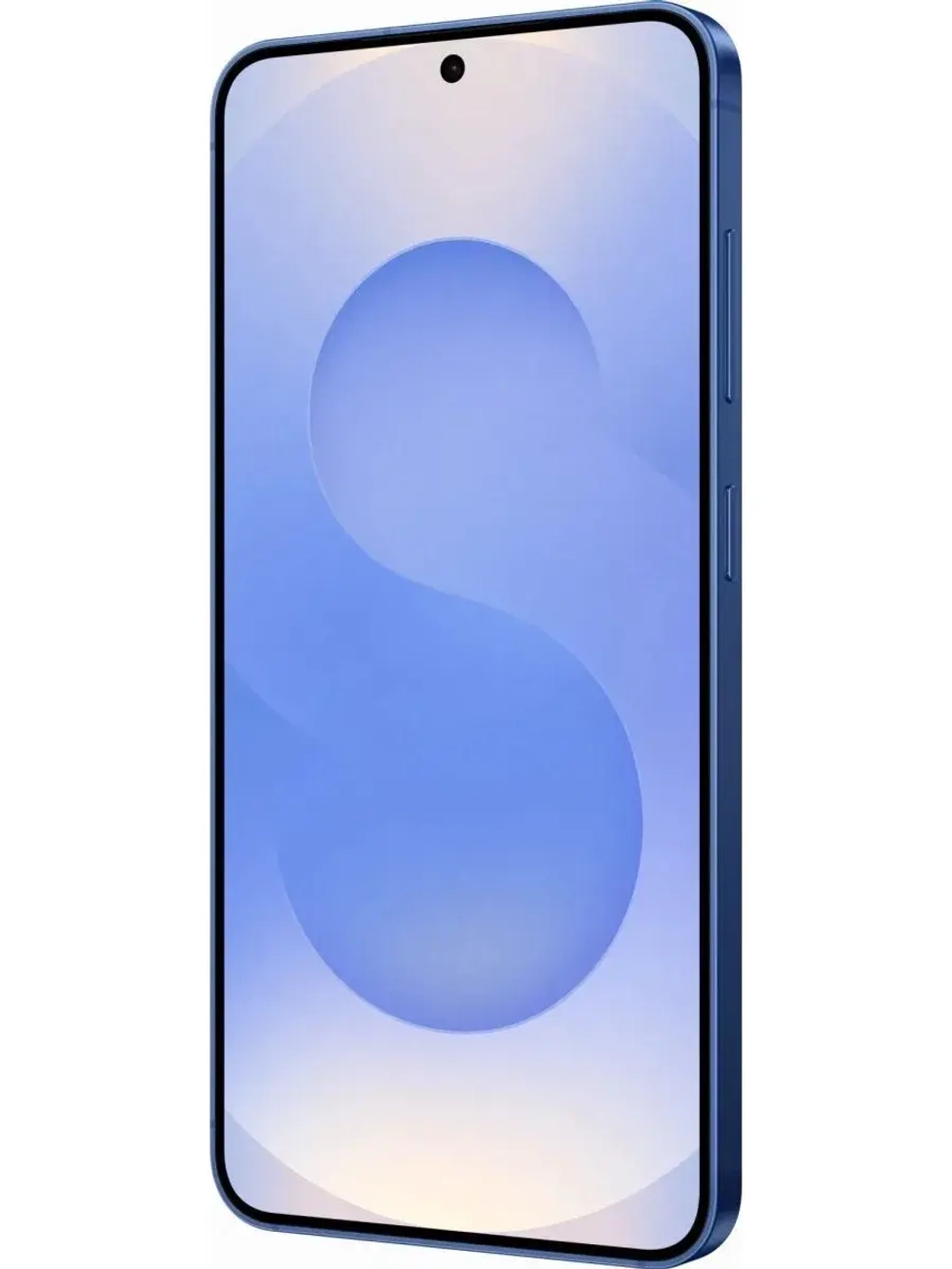 Смартфон Samsung Galaxy S25 5G 12/512Gb, Navy (SM-S9310)