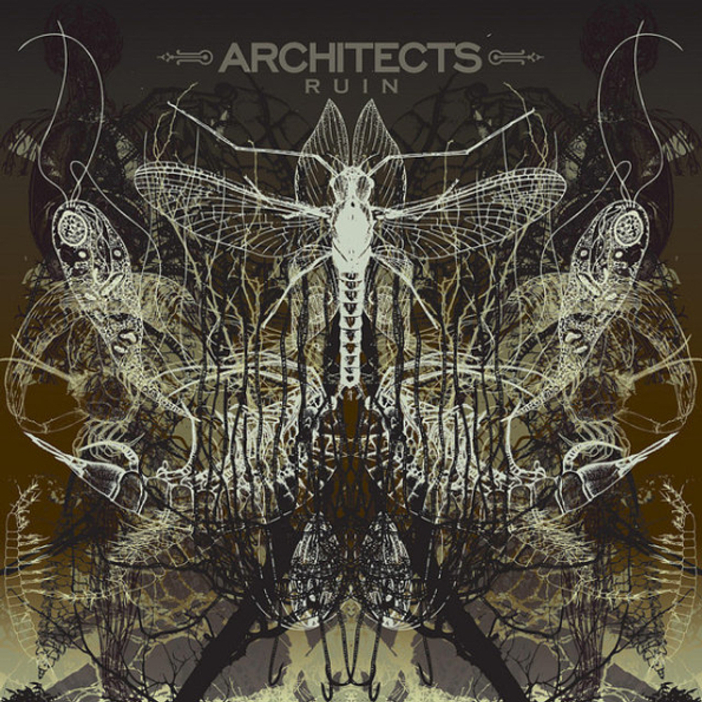 Architects / Ruin (LP+CD)
