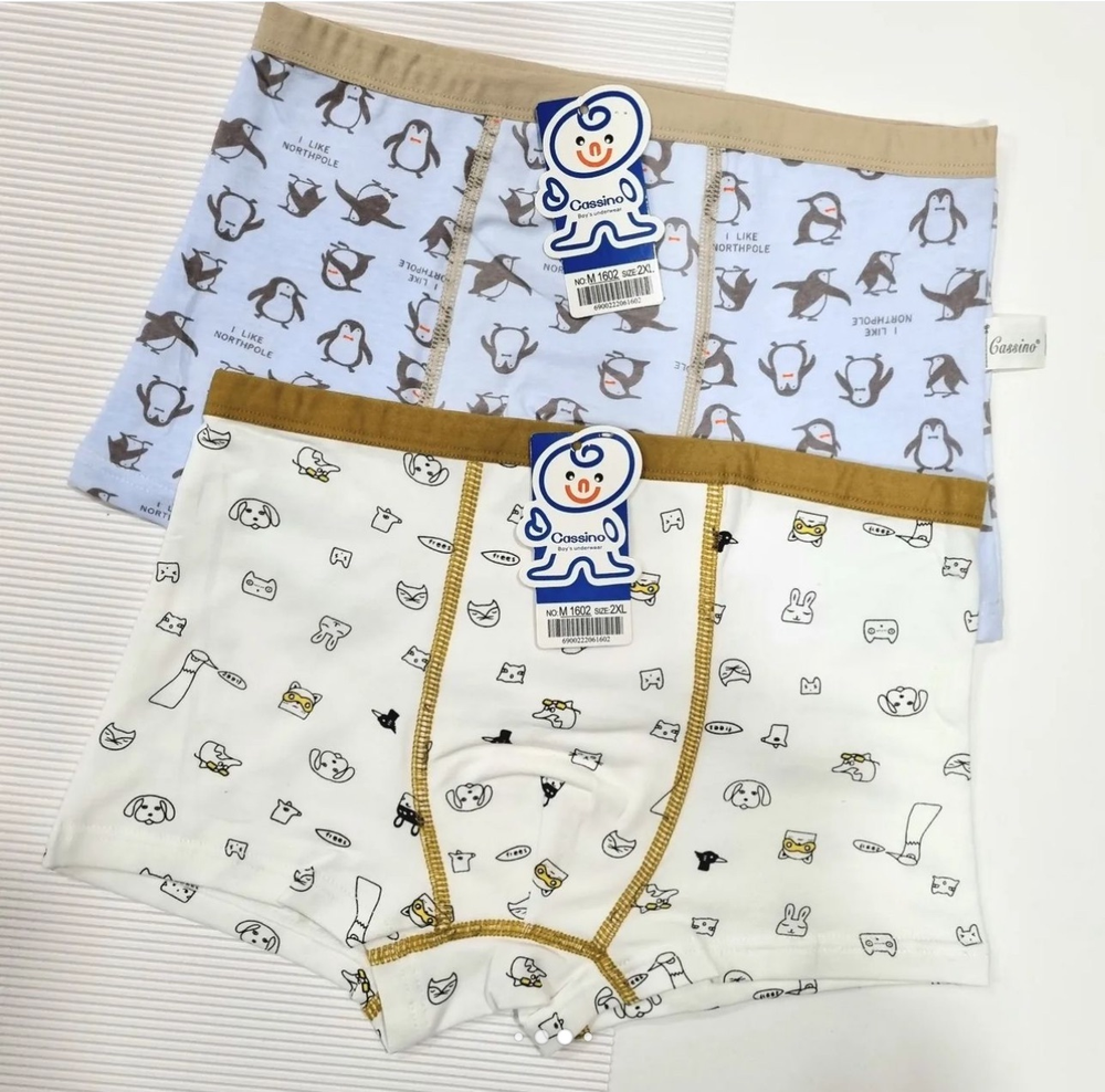 Боксер МАЛЬЧИК М1602