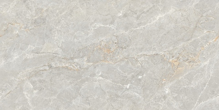 Neodom Marble Soya Silver Carving 60x120