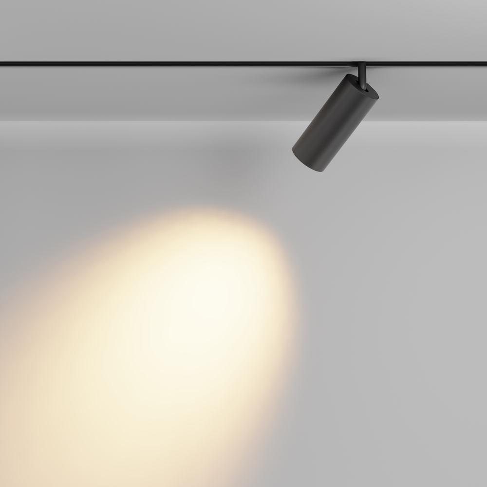 Магнитный трековый светильник Maytoni Focus LED TR032-2-20W2.7K-M-B