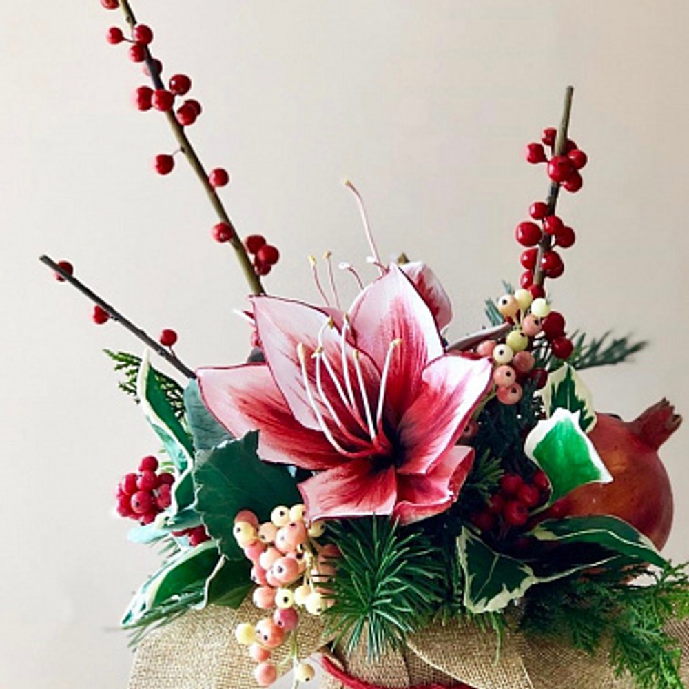 Вайнер лепесток Амариллиса