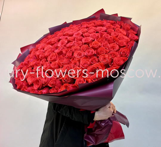 201 роза Эквадор сорта Нина