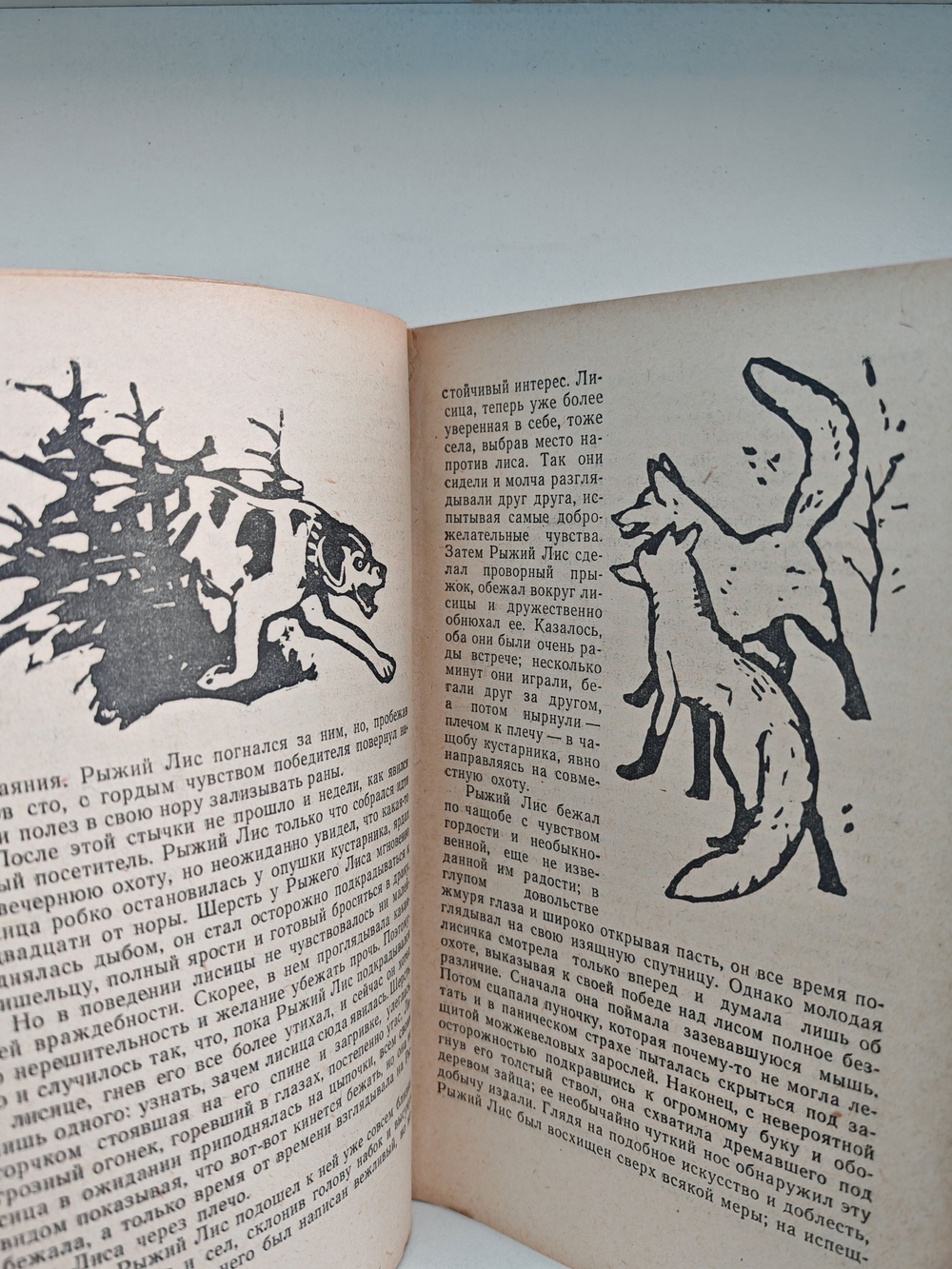 В долинах Рингваака