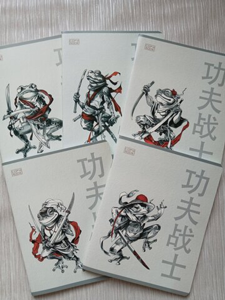 Тетрадь 48 листа А5+.  "Боец Кунг-Фу", общая, клетка. Формат А5+ (163*203 мм). Арт.120040. С полями. Комплект 5 шт.