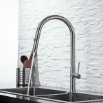 Смеситель для кухни Allen Brau Sprungfeder Kerox 5.60002.SS Брашированная сталь