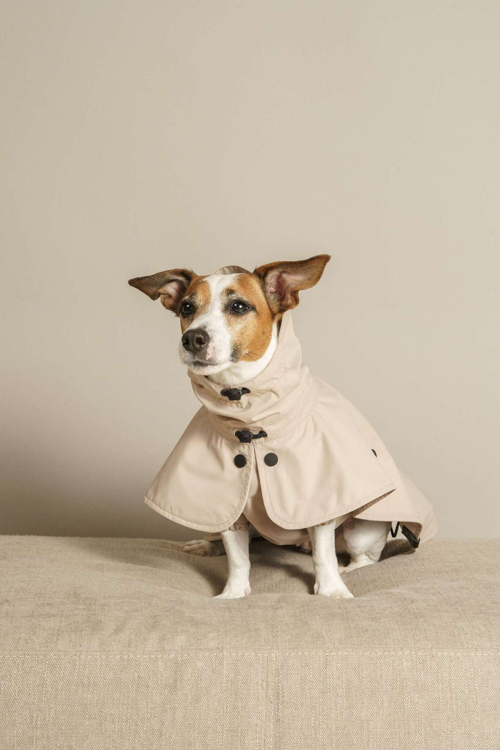 Дождевик "Пони-парасоли v.2" цвет бежевый