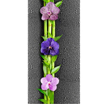 Панель ПВХ т/п 351/1 Орхидея Чёрная фон 2700*250мм 58