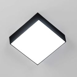 Citilux Тао CL712X122N LED Светильник потолочный с диммером Чёрный