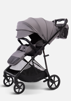 Peppy Коляска прогулочная Amici (Grey) рама Black Chrome (LX)