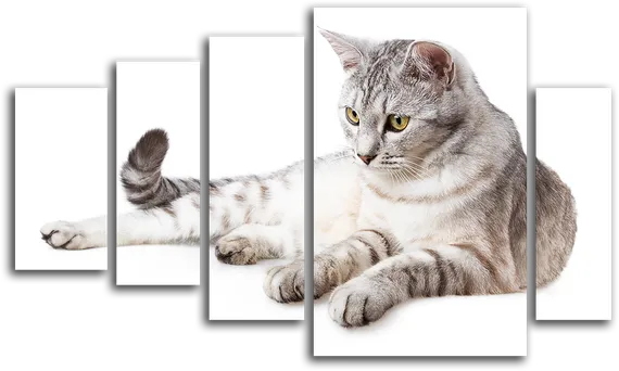 Модульная картина "Устремленный взгляд"