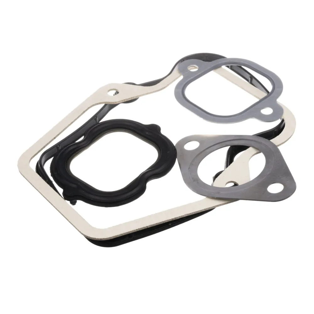 Комплект сальников CLAAS 0019925330