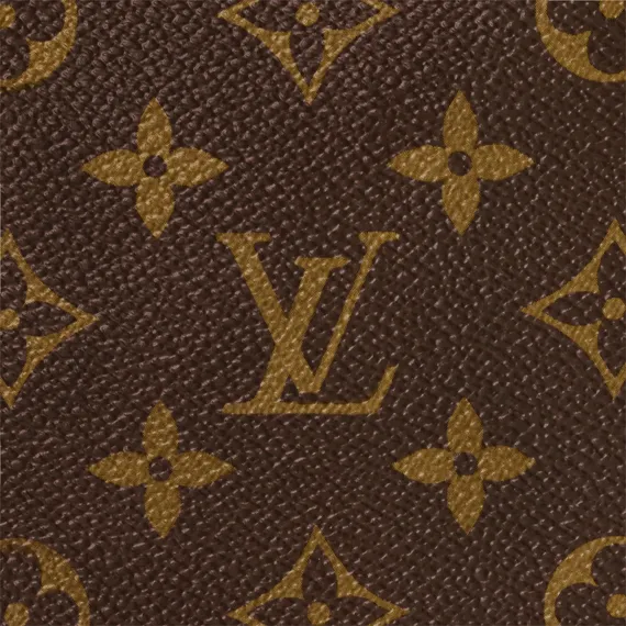 Рюкзак Louis Vuitton Josh канва Monogram Macassar коричневый