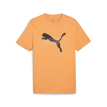 Мужская футболка PUMA DESERT ROAD Graphic Tee