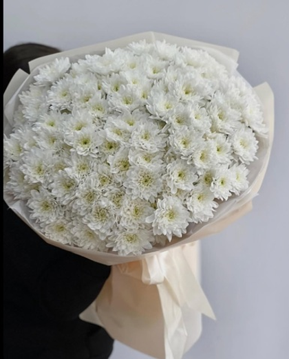 19 белых кустовы хризантем