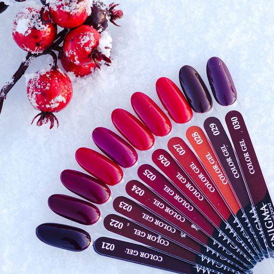 Гель-лак ENIGMA 10 мл. №27