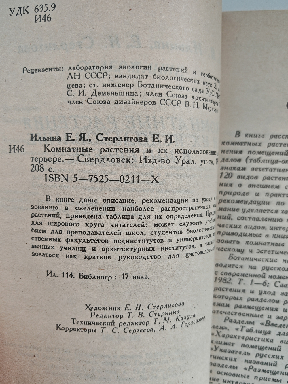 Комнатные растения и их использование в интерьере