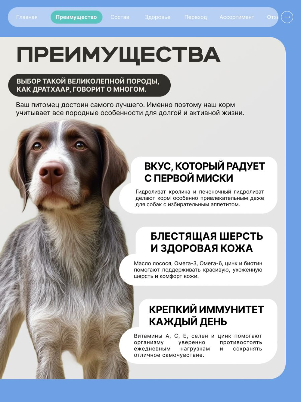 Корм для взрослых собак породы Дратхаар, с кроликом, 12 кг, QUATTRO