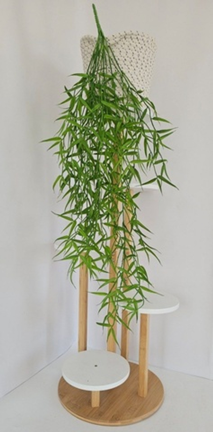 Бамбук ампельный / Арт 4407