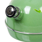 Чайник сталь, эмал, 3.5 л, свист, руч консоль, Рубин, С2509, зеленый туман, Т04/35/10/04  /07