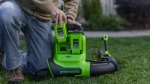 Воздуходувка ранцевая GD40BPG2 (без АКБ и ЗУ) 40В Greenworks