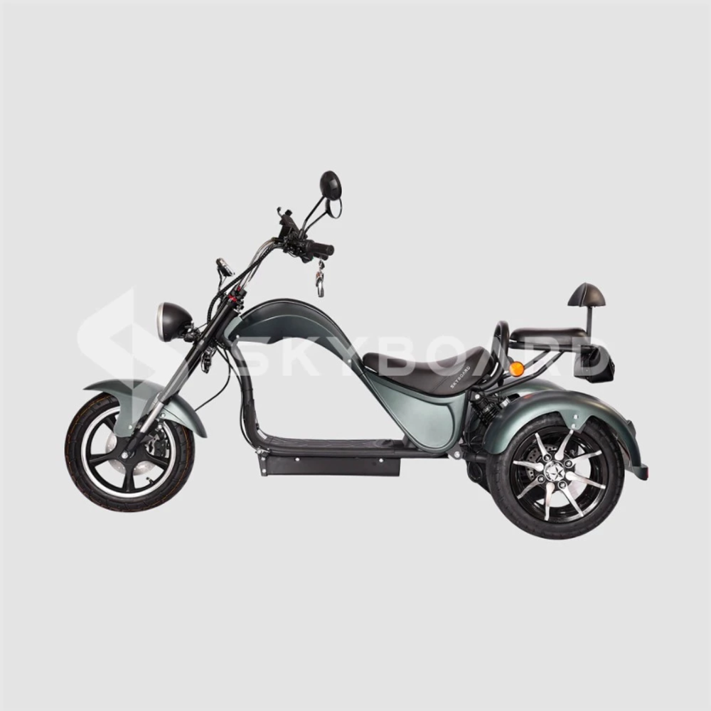 Электроскутер CityCoco SKYBOARD TRIKE CHOPPER-4000 PRO FAST Trike