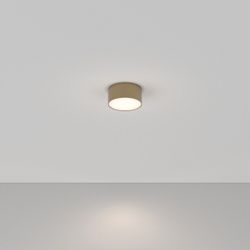 Накладной светильник Maytoni Zon C032CL-12W4K-RD-MG