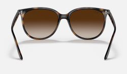 RAY-BAN RB4378 710/13