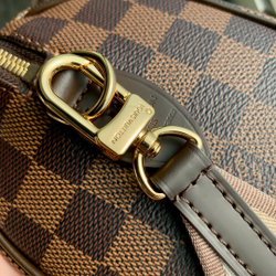 Louis Vuitton Speedy 20