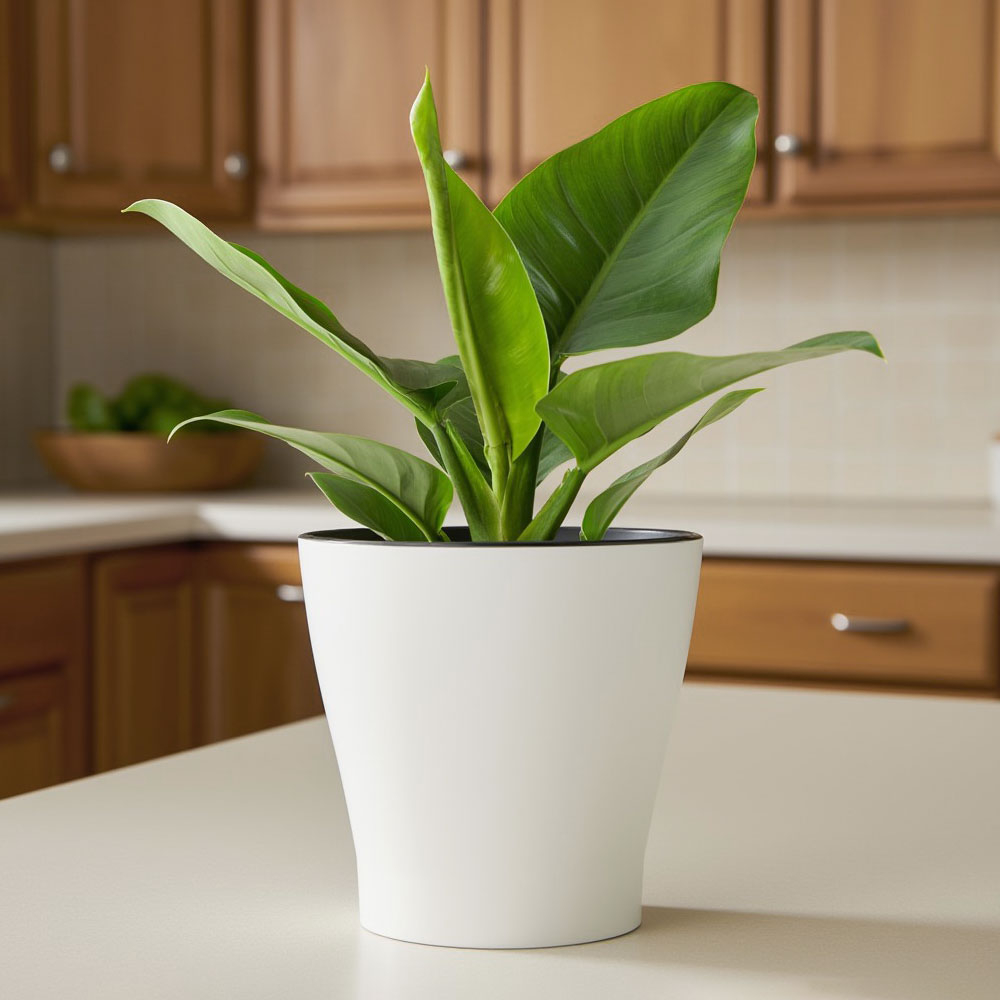 Горшок цветочный Лея 3,6л двойной с автополивом (белый)