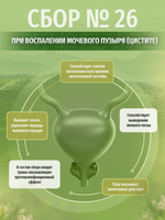 Сбор № 26 При воспалении мочевого пузыря (цистите)
