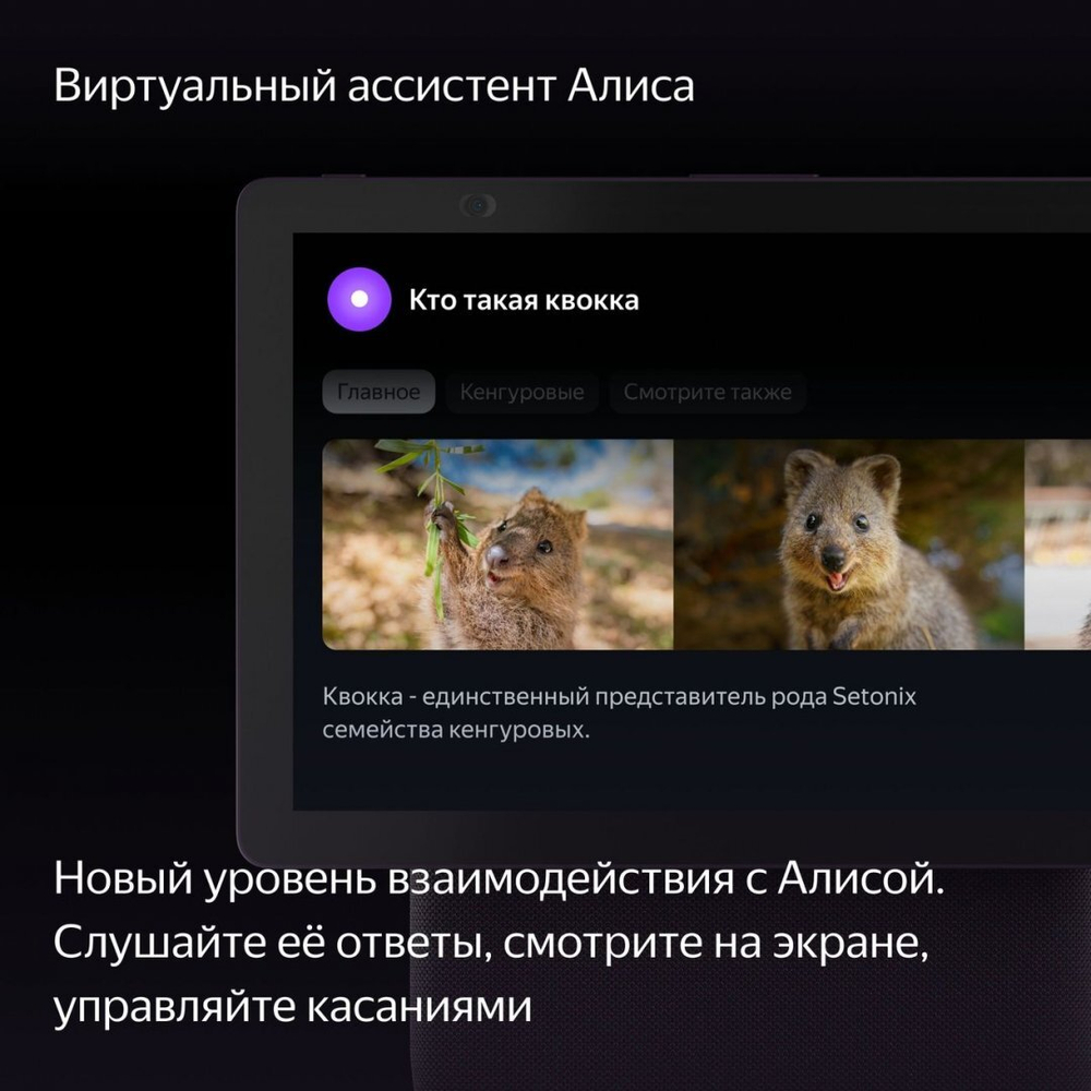 Умная колонка Яндекс Станция Дуо Макс с Алисой на YaGPT, с Zigbee, 60 Вт, красная