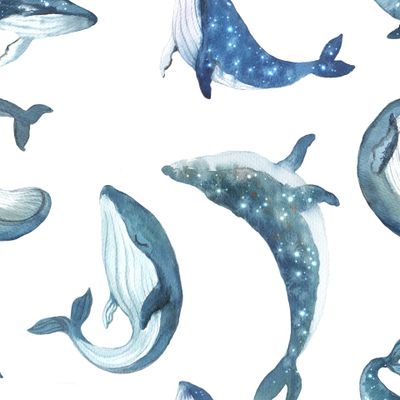 Звездные киты на белом фоне