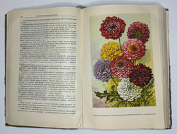 Г. Киселёв. Цветоводство., изд. 1949 г. Подарочное издание с цветными иллюстрациями.