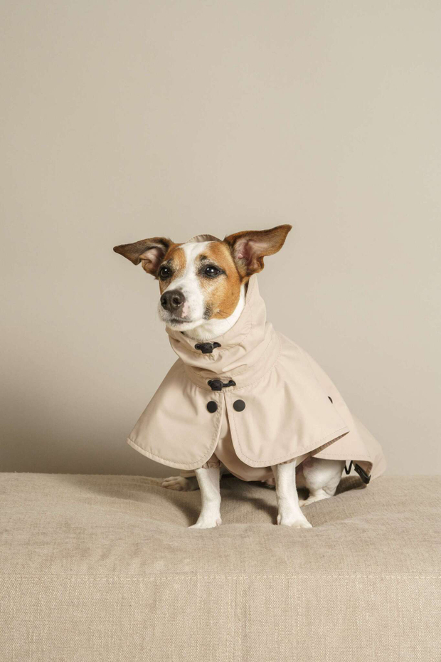 Дождевик "Пони-парасоли v.2" цвет бежевый