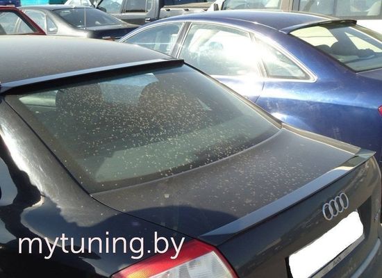 Козырек на заднее стекло для Audi A4 B6\ B7