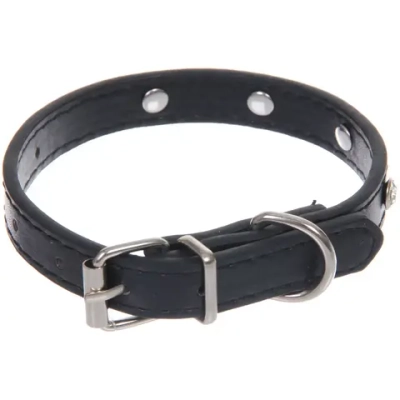 Ошейник для собак и кошек со стразами «На стиле», цвет черный, 1.5см, размер XS, 20*25см (лейбл)