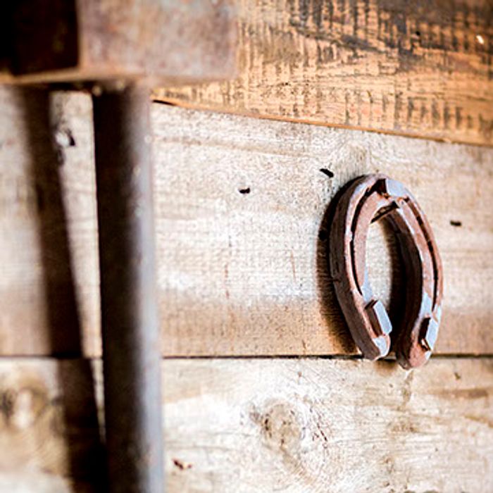 один предмет -это шоколад