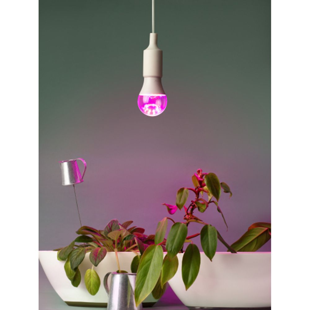 Фитолампа для растений светодиодная ЭРА FITO-20W-RB-E27 красно-синего спектра 20 Вт Е27 | ФИТО светильники