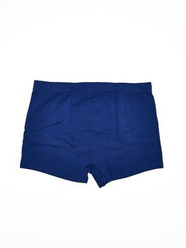 Шорты мужские ATLANTIC MH-1652