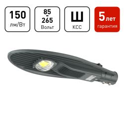 Светильник уличный светодиодный ЭРА SPP-5-60-5K-W 60Вт 5000К IP65 КСС Ш гарантия 5 лет | Уличные консольные светильники