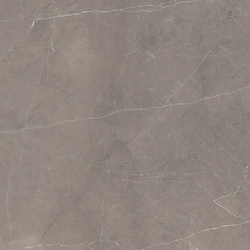 Stone Micado Grey Керамогранит серый 60х60 Полированный