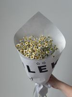 Кулек из ромашек