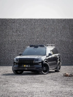 Платформа на крышу Arcane Warrior для ZEEKR 9X 2025+ Зикр органайзер багажник на крышу