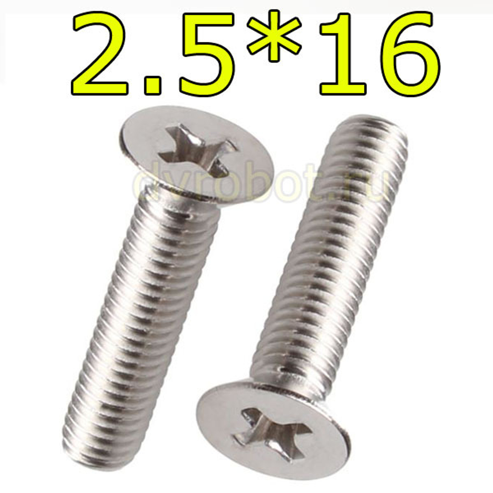 Болт М2.5*16