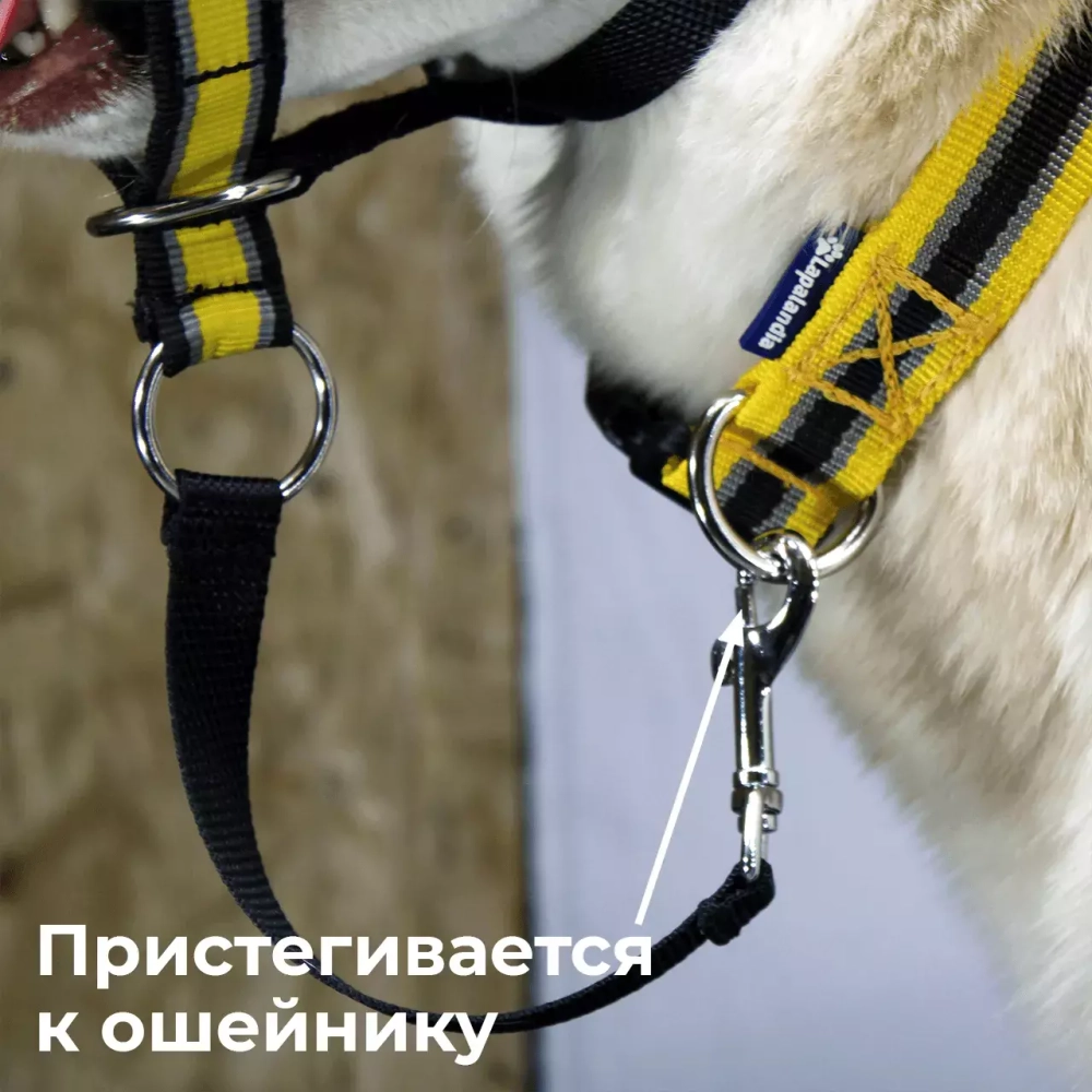 Недоуздок корректор поведения Спорт (Халти) для собак