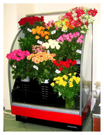 Горка холодильная Lida Stella Flora maxi (1000х1200х2000 мм)