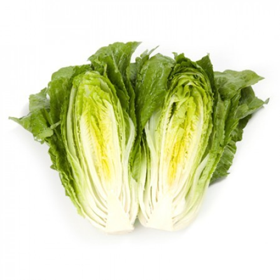 Викторинус семена салата ромэн – фото 3