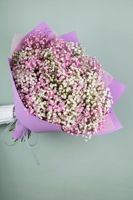 Букет из розовой и белой гипсофилы